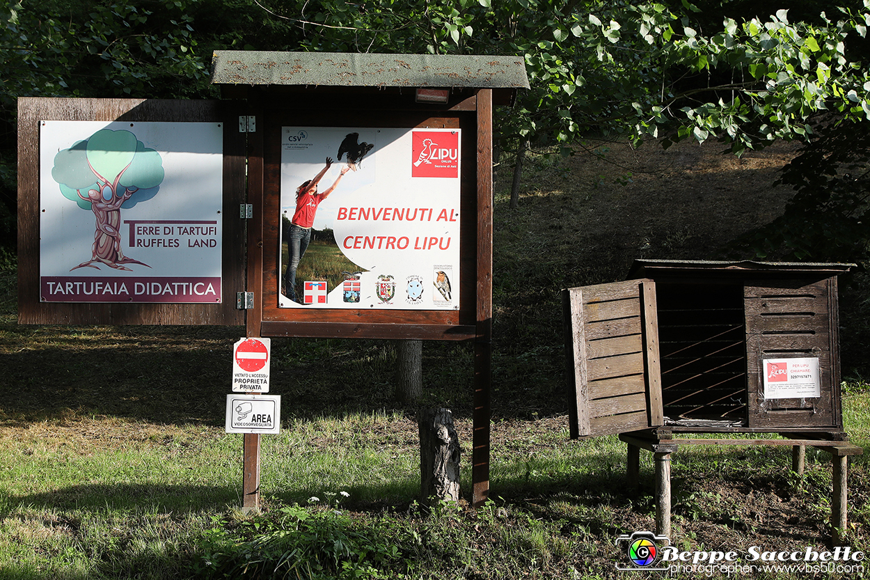 VBS_9461 - A spasso per Tigliole 2025 - Nona edizione.jpg